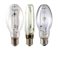HID Lamps